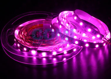 5050 ไฟ LED Strip สีชมพู 25000K, 12/24 โวลต์แถบไฟ LED 12mm FPC